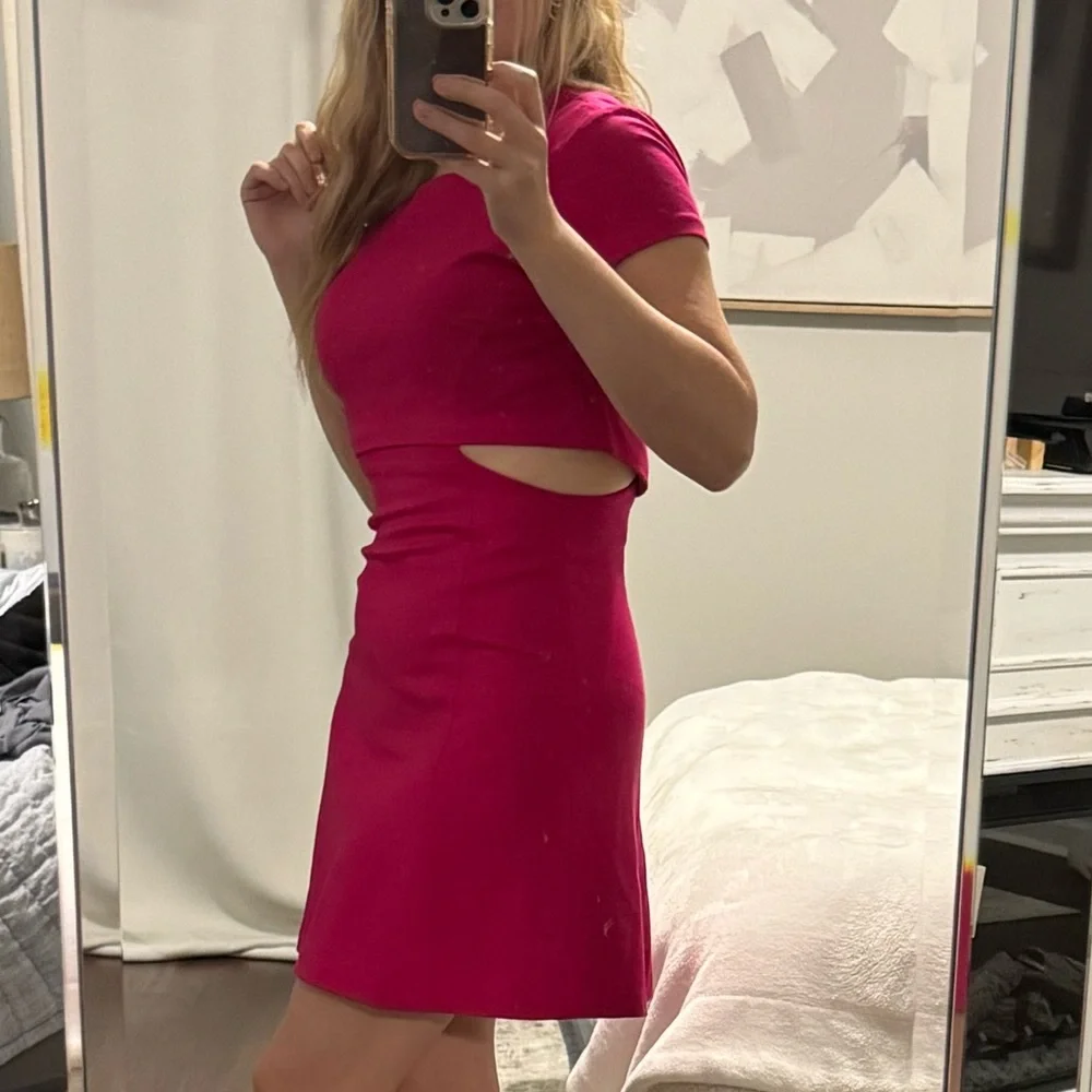 Amanda Uprichard Rose Red Elegant Pink Cut Out Dress - Picture 3 of 8